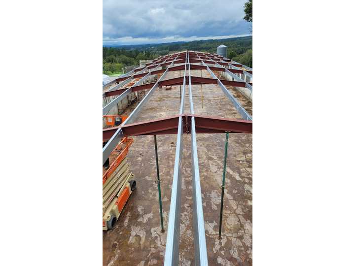 Retirada de amianto y cubierta nueva en nave (Castroverde)